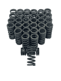 6.4L Powerstroke Diesel Stage 1 Valve Spring Set